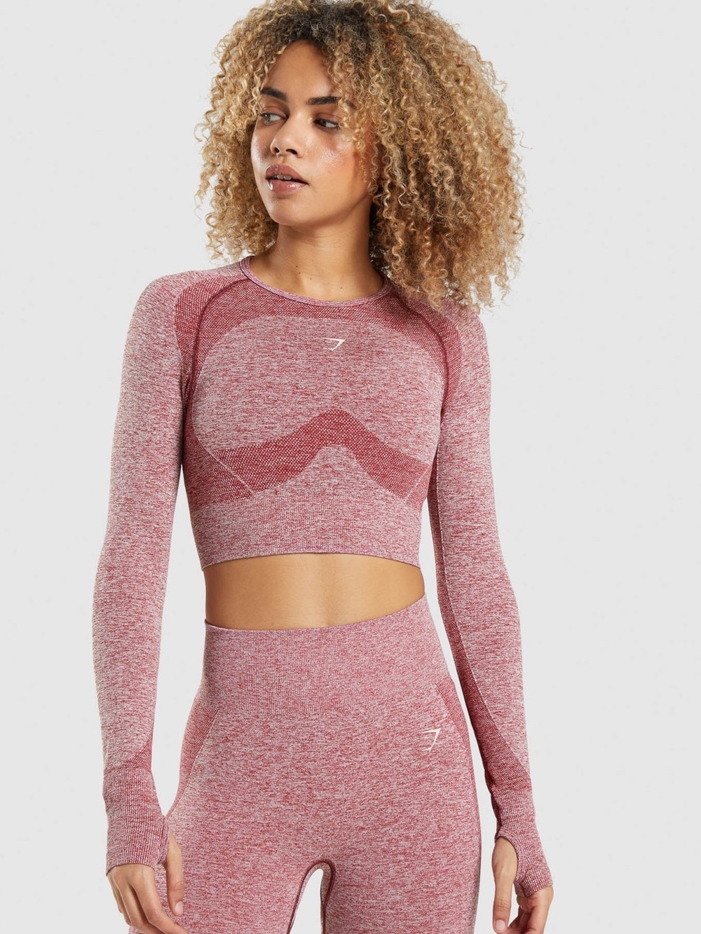 FLEX SPORTS LONG SLEEVE CROP TOP